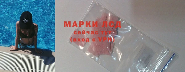 сатива Богородицк