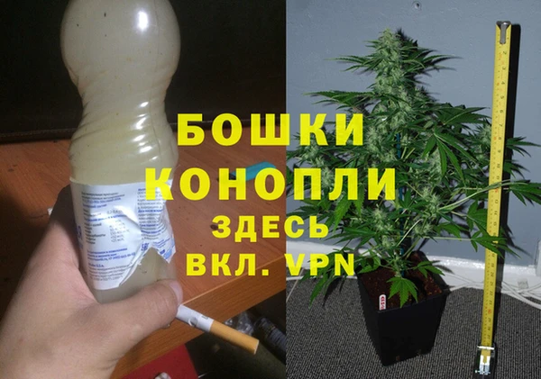 ГАЛЛЮЦИНОГЕННЫЕ ГРИБЫ Богородск