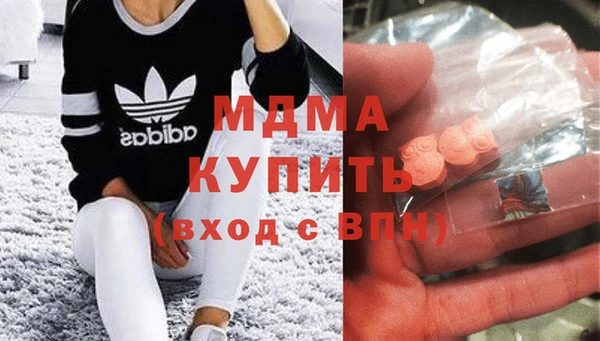 стаф Бородино