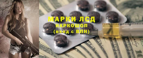 сатива Богородицк